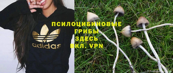 spice Няндома
