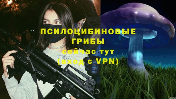 spice Няндома