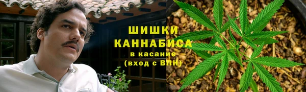spice Няндома