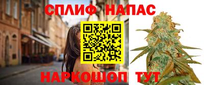 spice Аргун