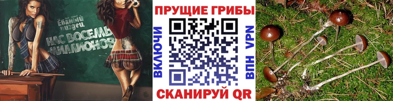 Галлюциногенные грибы MAGIC MUSHROOMS  цены наркотик  Асино 