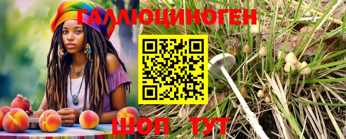 Галлюциногенные грибы GOLDEN TEACHER  Асино  Псилоцибиновые грибы мицелий 